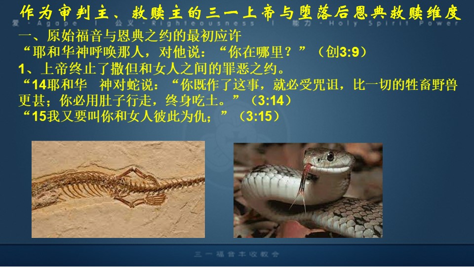 Slide5